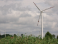 Coraz więcej energii z elektrowni wiatrowych